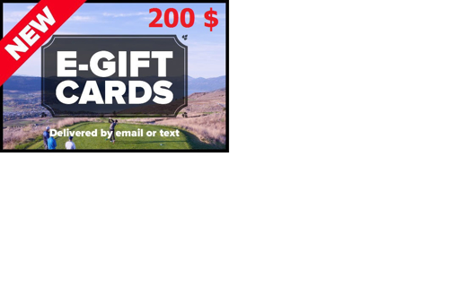 تصویر  E-Gift Card 200 $